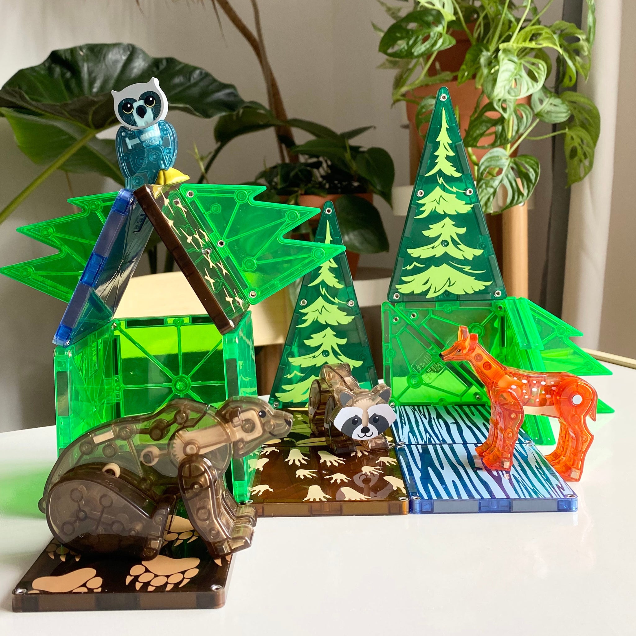 Forest? 25 Piece Set - Image 5